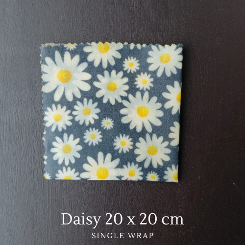 20 x 20 cm